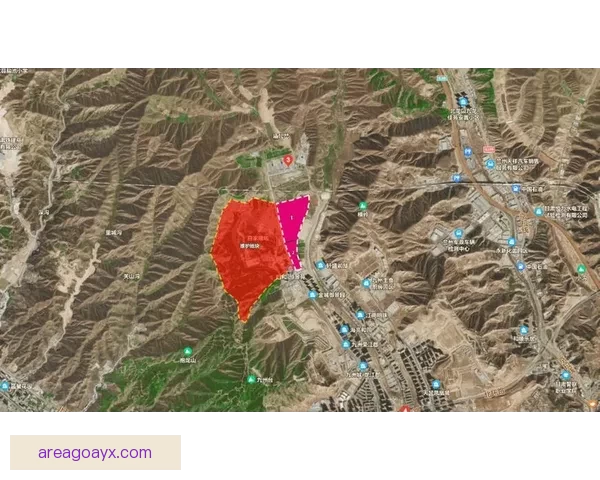 九州体育官网：深度解析平台发展历程与未来前景展望